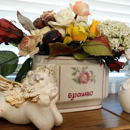 Royal * 加布罗沃